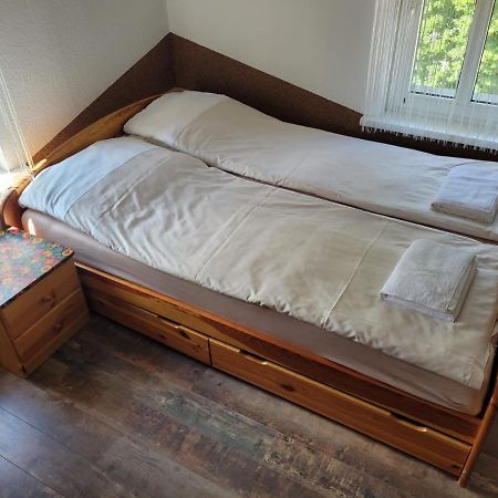 イェレニャ・グーラApartament Kocie Sny - Pod Zamkiem Chojnikアパートメント エクステリア 写真