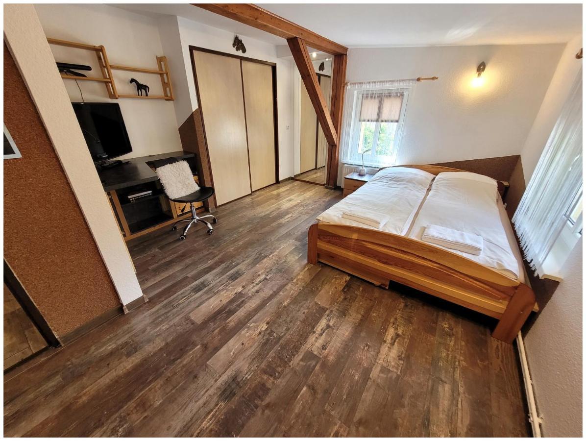イェレニャ・グーラApartament Kocie Sny - Pod Zamkiem Chojnikアパートメント エクステリア 写真